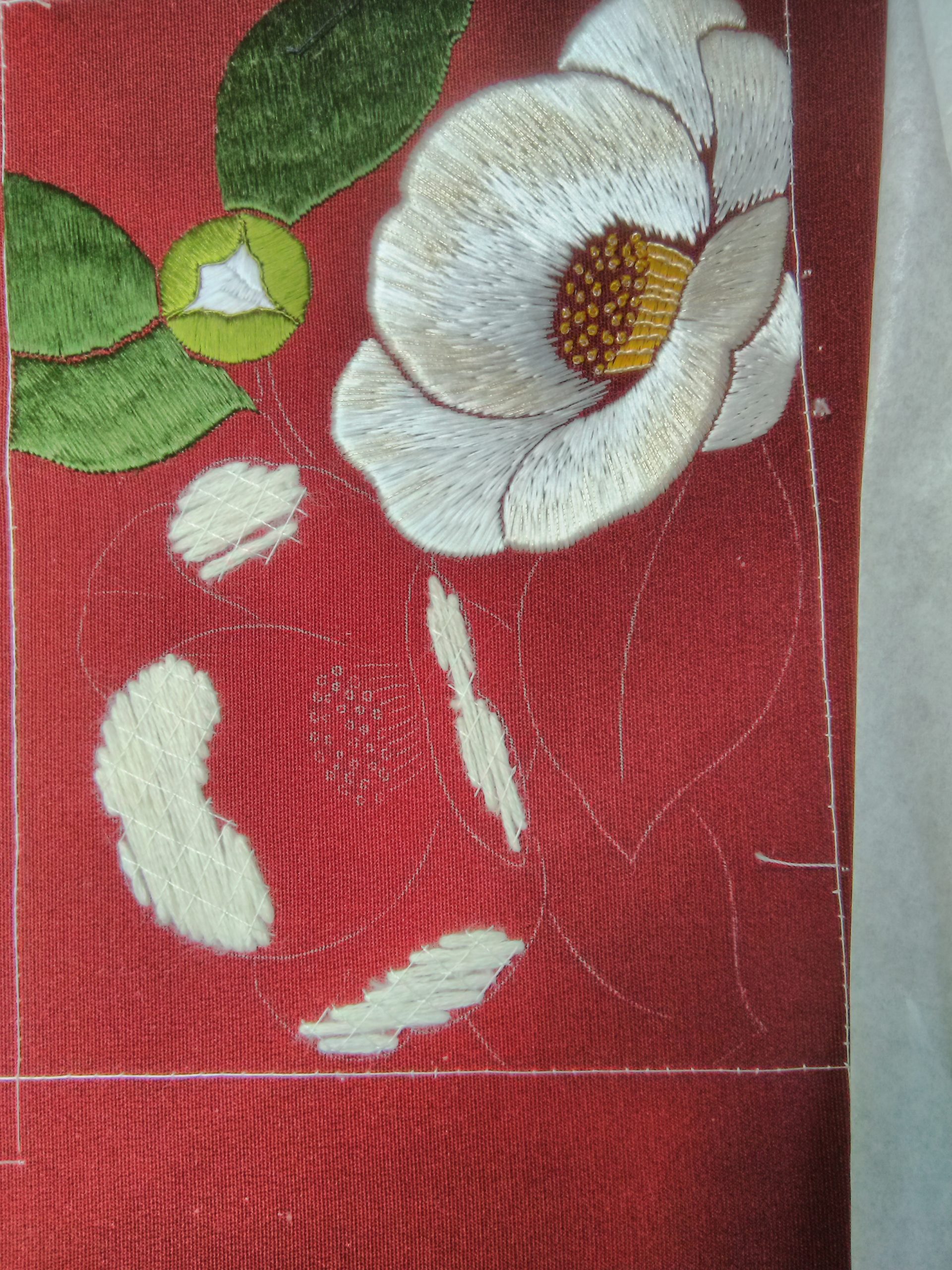 camelia 2-scaled