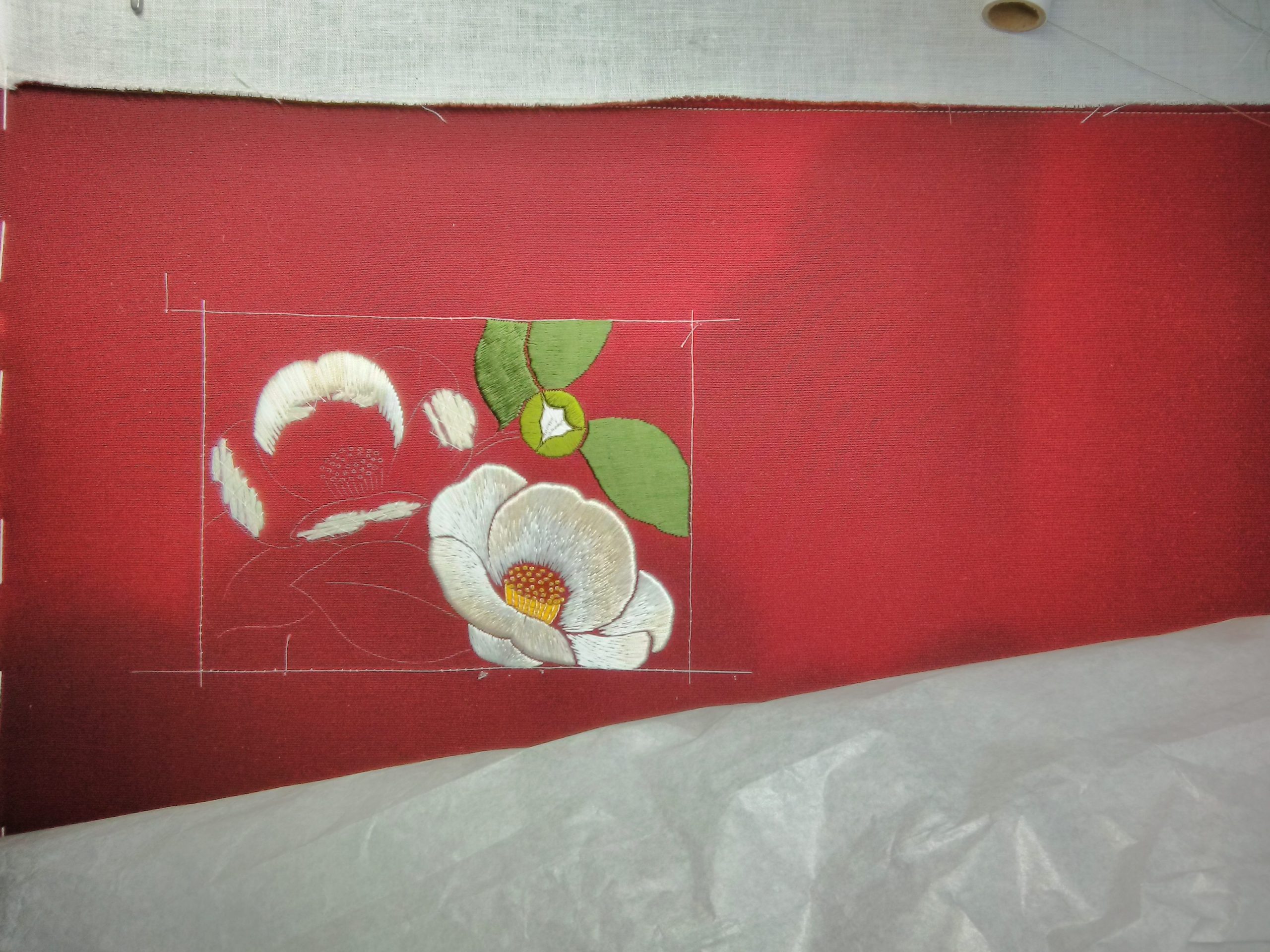 camelia-scaled